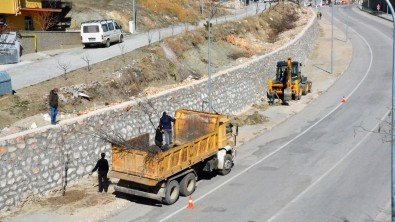 AĞAÇLANDIRMA ÇALIŞMALARI SÜRÜYOR