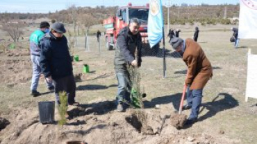 21 MART DÜNYA ORMANCILIK GÜNÜ VE HAFTASINDA FİDANLAR TOPRAKLA BULUŞUYOR...