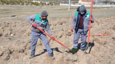 21 MART DÜNYA ORMANCILIK GÜNÜ VE HAFTASINDA FİDANLAR TOPRAKLA BULUŞUYOR...