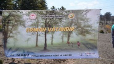 21 MART DÜNYA ORMANCILIK GÜNÜ VE HAFTASINDA FİDANLAR TOPRAKLA BULUŞUYOR...