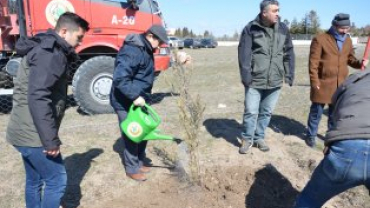 21 MART DÜNYA ORMANCILIK GÜNÜ VE HAFTASINDA FİDANLAR TOPRAKLA BULUŞUYOR...