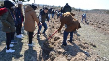 21 MART DÜNYA ORMANCILIK GÜNÜ VE HAFTASINDA FİDANLAR TOPRAKLA BULUŞUYOR...